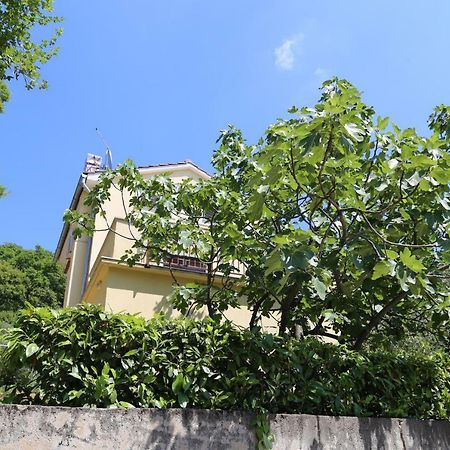 New, Sunny Apartment Surrounded By Nature 오미살즈 외부 사진