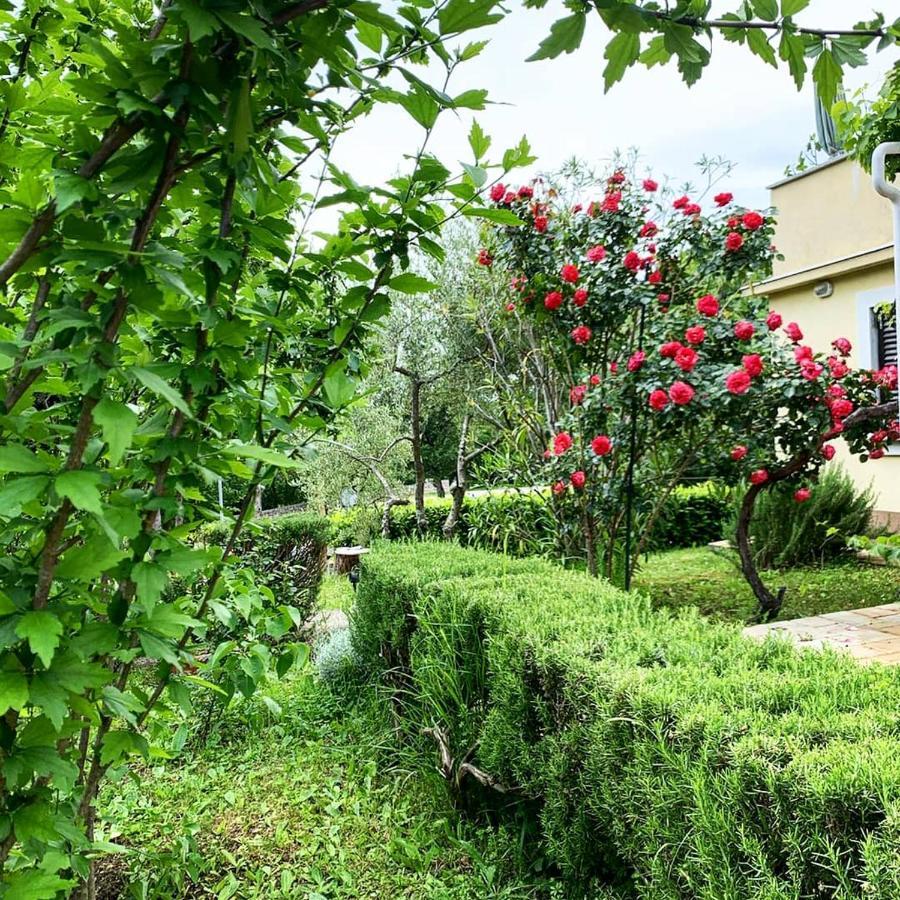 New, Sunny Apartment Surrounded By Nature 오미살즈 외부 사진