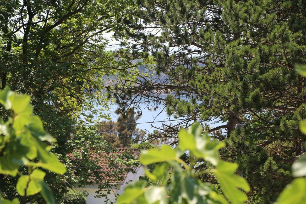New, Sunny Apartment Surrounded By Nature 오미살즈 외부 사진